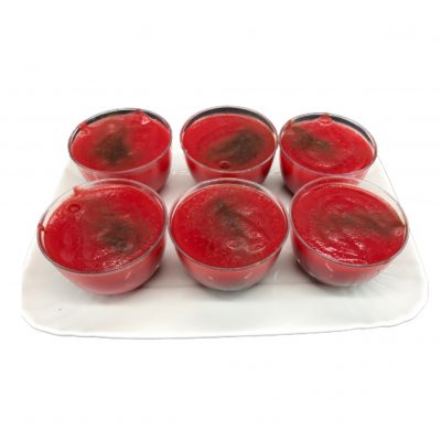 Gelo di Mellone Dagnino consegna a domicilio con Cosaporto