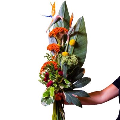 Esotico Sauvage Fiori e Colori consegna a domicilio con Cosaporto