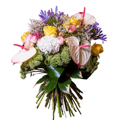 Incantevole Eden Fiori e Colori consegna a domicilio con Cosaporto