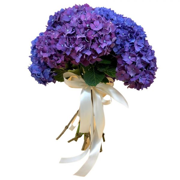 Hortense Fiori e Colori consegna a domicilio con Cosaporto