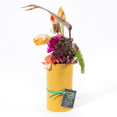 Potasushi Rosalba Piccinni Mercato Centrale consegna a domicilio con Cosaporto