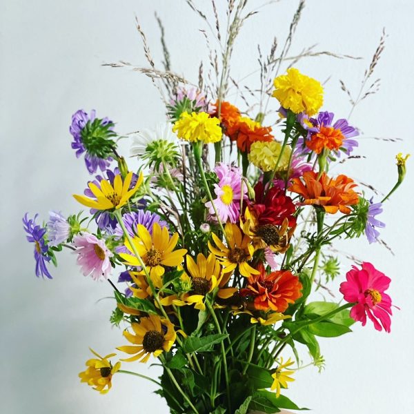 Fiori di Campo Coral consegna a domicilio con Cosaporto