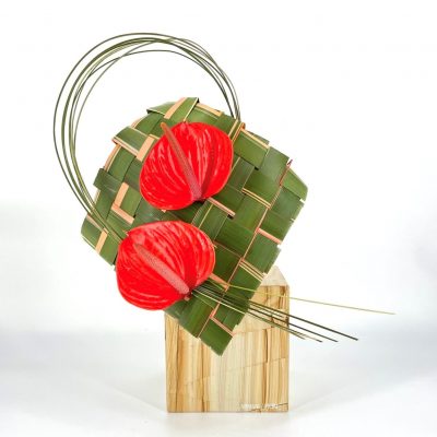 Composizione di Anthurium con foglie di Formio e Flexigrass Armani / Fiori consegna a domicilio con Cosaporto