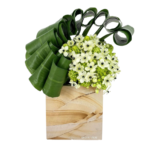 Composizione floreale di Ornitogallo e Aspidistra Armani / Fiori consegna a domicilio con Cosaporto