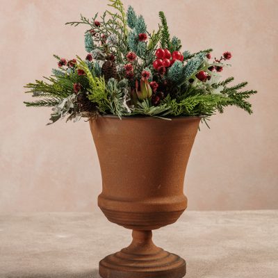 Coppa Aurora Polare Frida's Bologna consegna a domicilio con Cosaporto