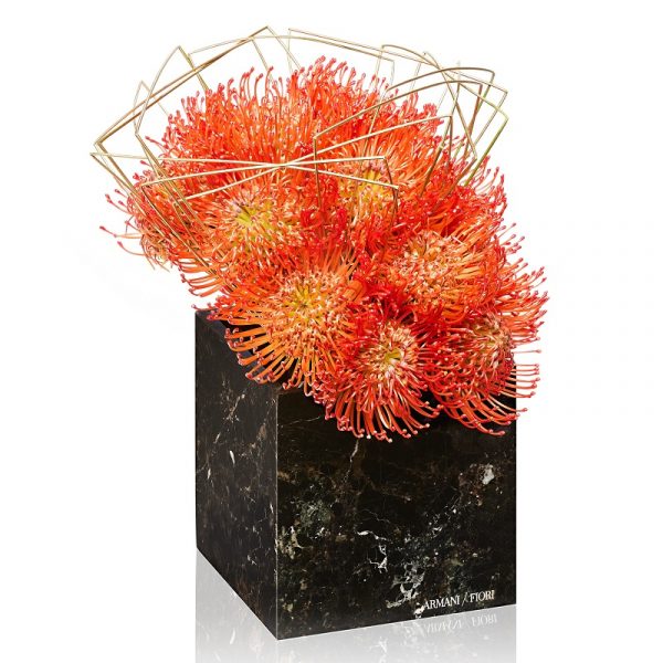 Nutan e Steelgrass dorato su vaso cubo in pietra black zebra Armani / Fiori consegna a domicilio con Cosaporto