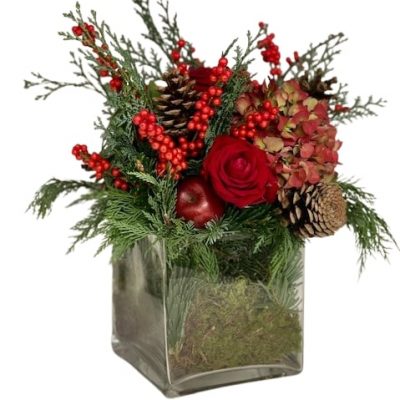Vaso di Natale Coral Consegna a domicilio con dev.cosaporto.it