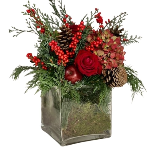 Vaso di Natale Coral Consegna a domicilio con dev.cosaporto.it