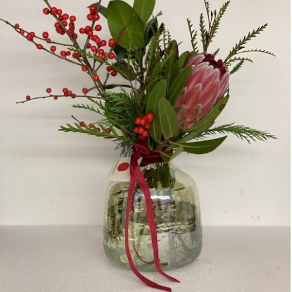 Vaso con Protee medio/grande Coral Consegna a domicilio con Cosaporto.it