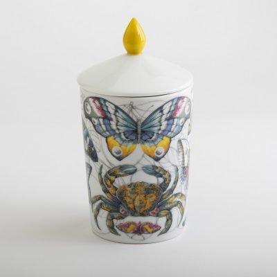 Candela Luxe Festina Lente Home consegna a domicilio con Cosaporto