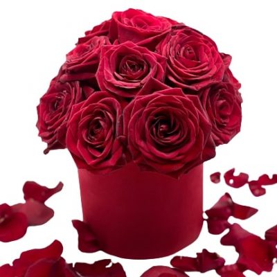 Cupola Rossa The Flower Pot consegna a domicilio con Cosaporto