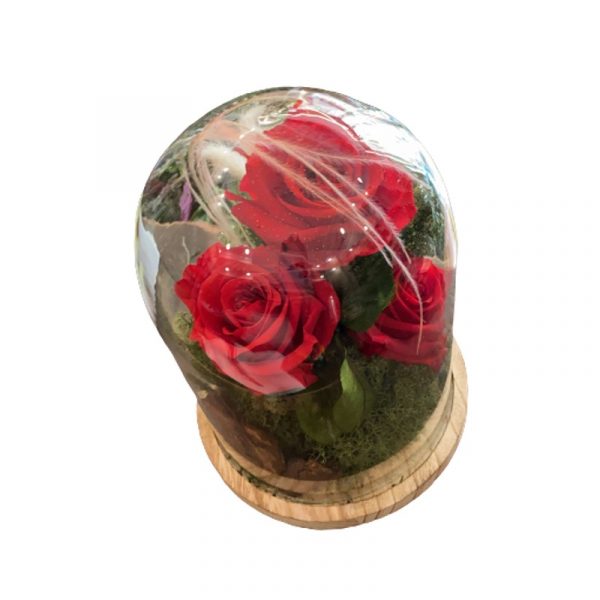 Campana Eterna The Flower Pot consegna a domicilio con Cosaporto