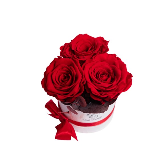 Cappelliera mini rose stabilizzate Eredi Bagatin consegna a domicilio con dev.cosaporto.it