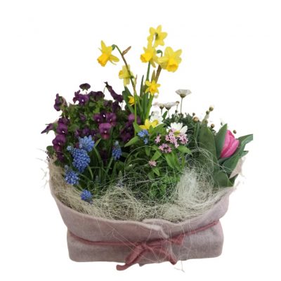 Giardino Primavera da piccolo a grande Fiorile consegna a domicilio con cosaporto