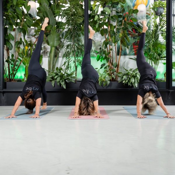 Gift Card per lezione privata di Hatha yoga online con tappetino Trybe consegna a domicilio con Cosaporto