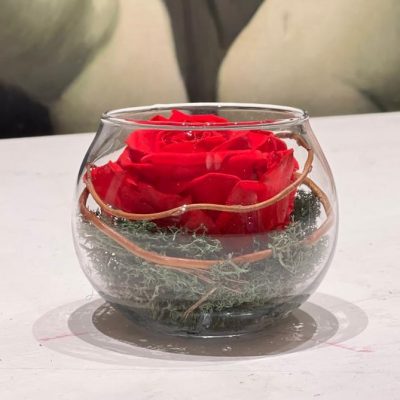 Rosa Stabilizzata in vetro Ciaffoni consegna a domicilio con Cosaporto