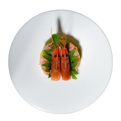 Le Tartare di IPPO consegna a domicilio con Cosaporto