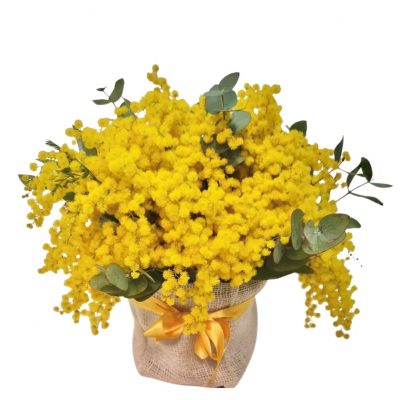 Sacchettino juta Mimosa Eredi Bagatin