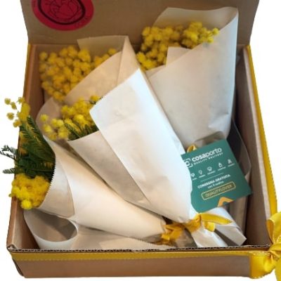 Mimosa Box Coral consegna a domicilio con Cosaporto