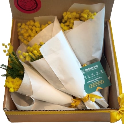 Mimosa Box Coral consegna a domicilio con Cosaporto