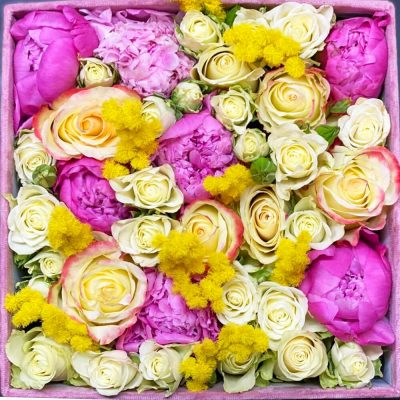 Donna Eccezionale Fiori e Colori consegna a domicilio con cosaporto