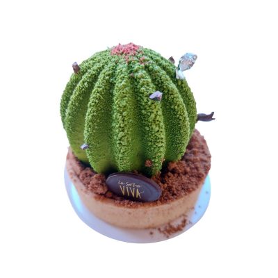 Monoporzione Cactus Viva di Viviana Varese consegna a domicilio con Cosaporto