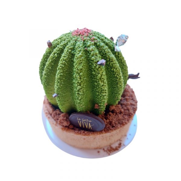 Monoporzione Cactus Viva di Viviana Varese consegna a domicilio con Cosaporto