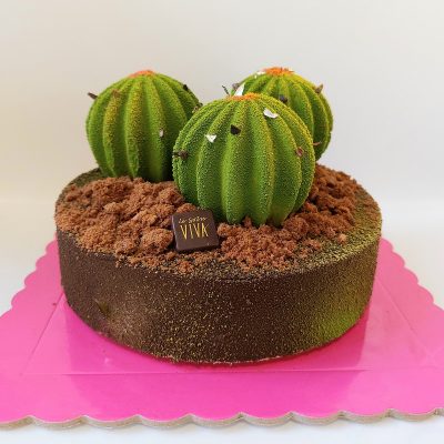 Cactus Viva di Viviana Varese consegna a domicilio con Cosaporto.it