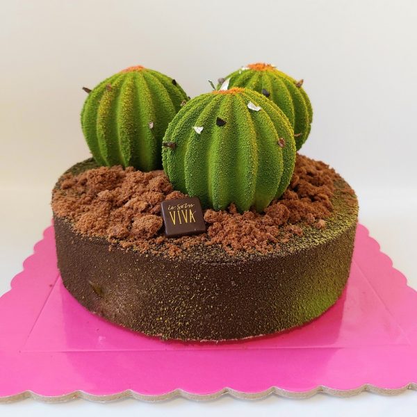 Cactus Viva di Viviana Varese consegna a domicilio con Cosaporto.it