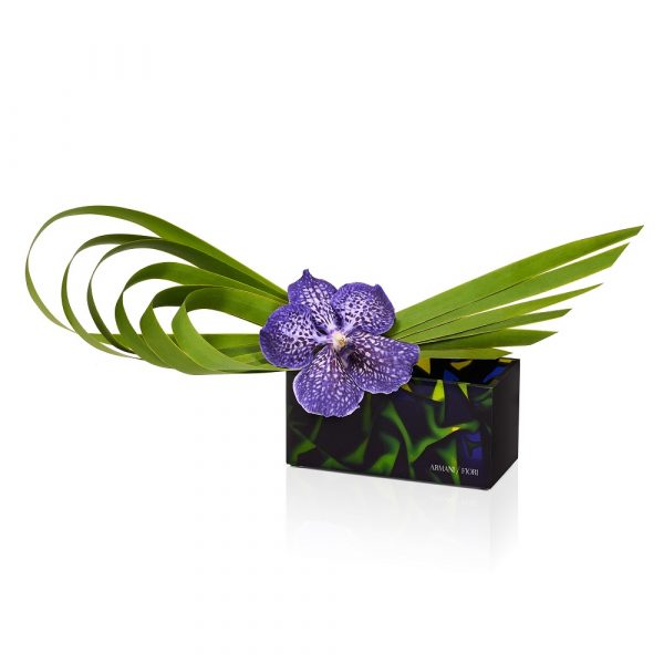 Composizione di Orchidea e Typha in vaso parallelepipedo plexiglass Armani / Fiori consegna a domicilio con Cosaporto