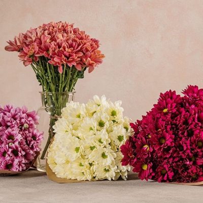 Bouquet di Margherite Colorate Frida's consegna a domicilio con Cosaporto