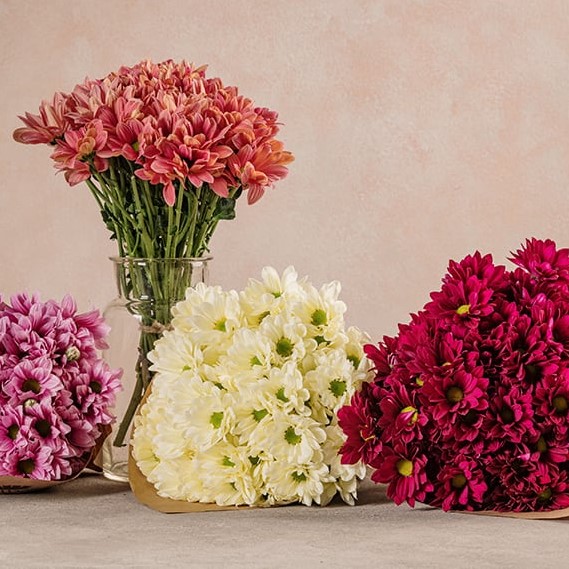 Bouquet di Margherite Colorate Frida's consegna a domicilio con Cosaporto