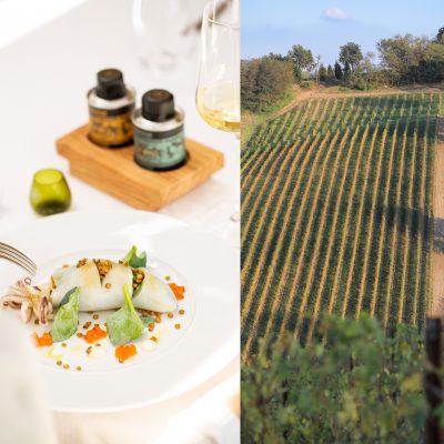 Degustazione vino, olio pranzo e passeggiata Palazzo di Varignana consegna a domicilio con cosaporto