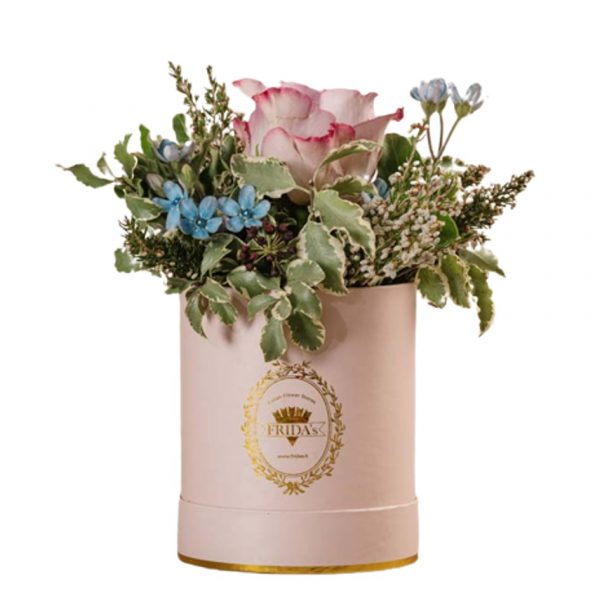 Cappelliera mini Rosa antico Frida's consegna a domicilio con cosaporto