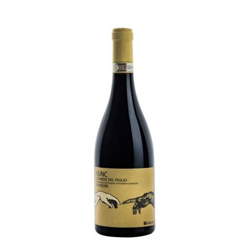 Cesanese del Piglio FEDERICI MCR Il Vino Famiglia Ercoli