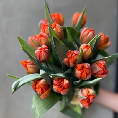 Mazzolino di Tulipani Potafiori consegna a domicilio con cosaporto